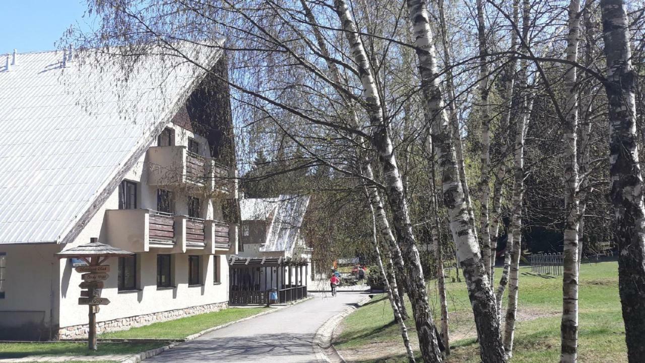 Sykovec Karavan Sykorka Нове-Место-на-Мораве Экстерьер фото